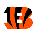 Cincinnati Bengals logo — team reference graphic, not a product photograph