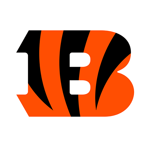 Cincinnati Bengals logo — team reference graphic, not a product photograph