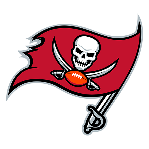 Tampa Bay Buccaneers logo — team reference graphic, not a product photograph